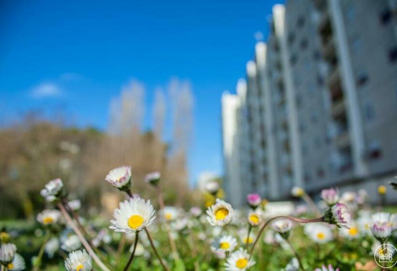 اتاق استاندارد, B&b Interno 8