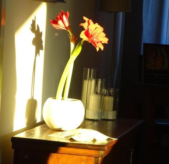 Номер Стандарт, La Casa Di Clara