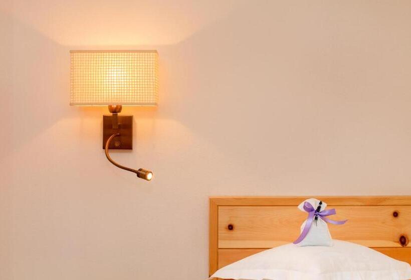 شقة سوبريور غرفة واحدة, Niedermair