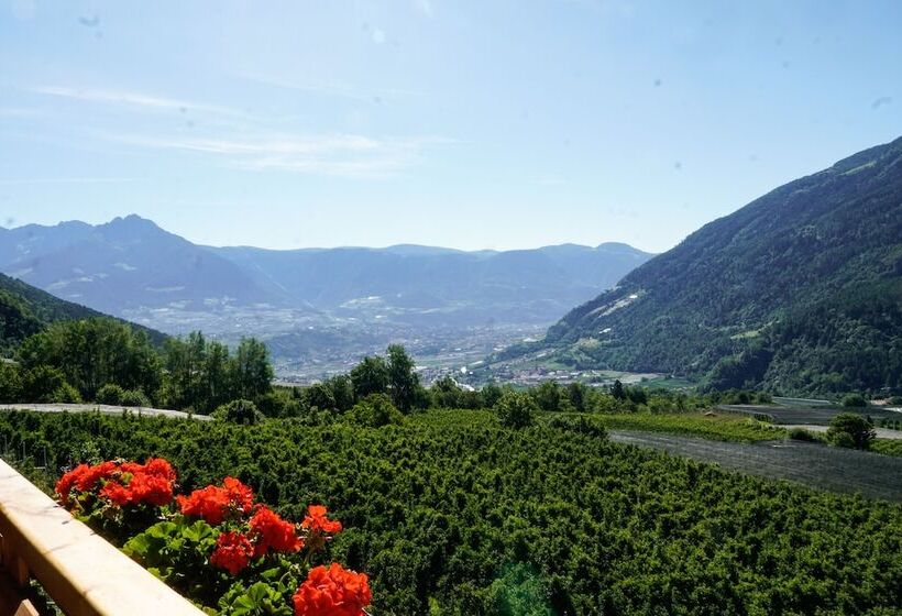 شقة سوبريور غرفة واحدة, Niedermair