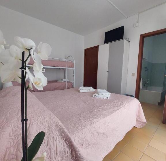 اتاق استاندارد چهار تخته, San Domingo