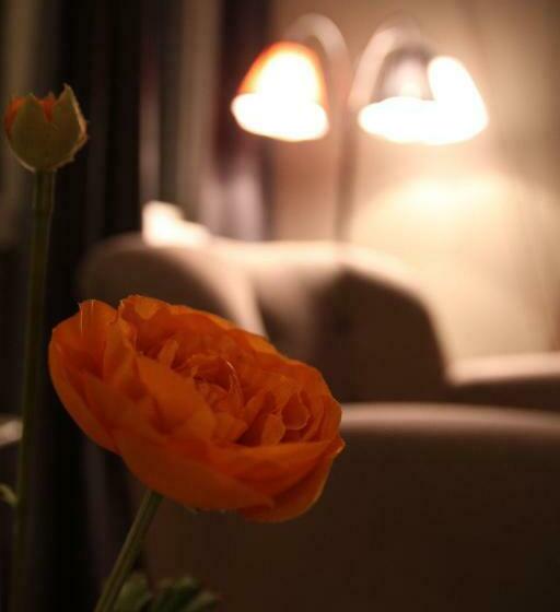 Pokój Standard Jednoosobowy, Haukeli