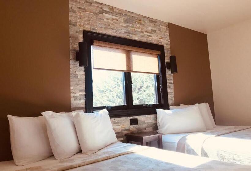 풀장 전망 스위트, Ala Moana Motel