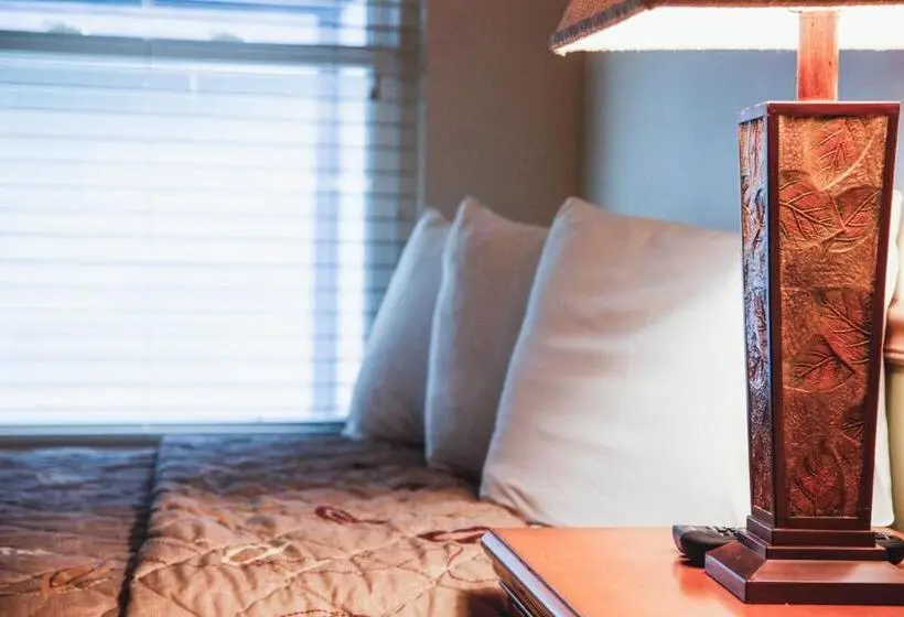 １ベッドルームアパートメント, Ala Moana Motel