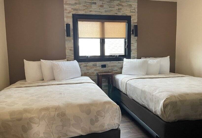 패밀리 스위트, Ala Moana Motel