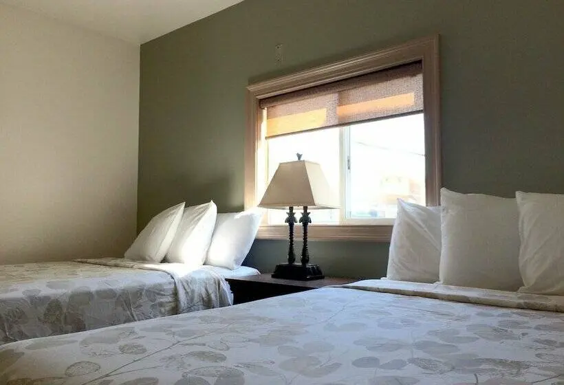 スイート（家族用）, Ala Moana Motel