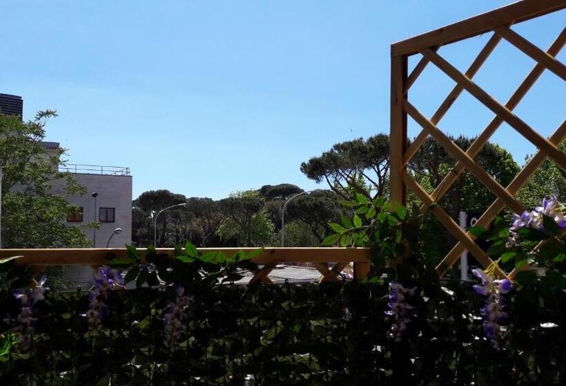 اتاق استاندارد, Il Segno In Rome