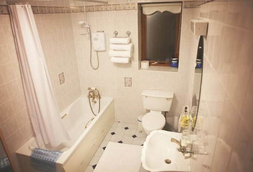 Номер Стандарт, The Derg Arms B&b