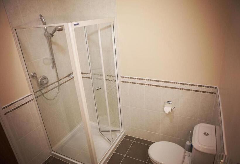 Номер Стандарт, The Derg Arms B&b