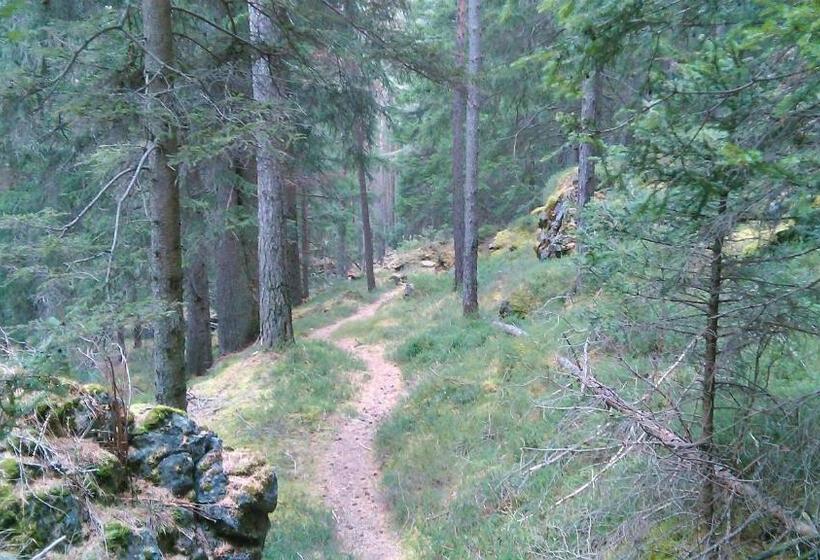 شقة غرفة واحدة, Guesthouse Seghetto