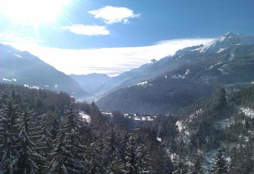 شقة غرفة واحدة, Guesthouse Seghetto