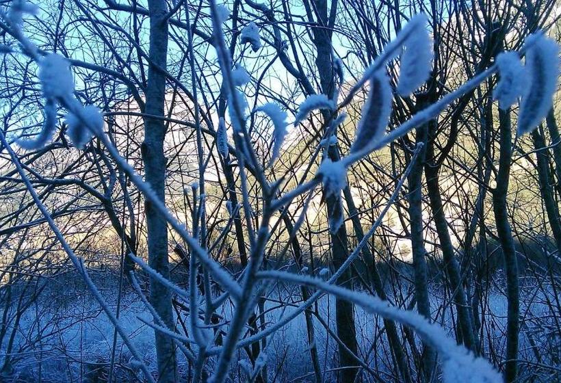 شقة غرفتين, Guesthouse Seghetto