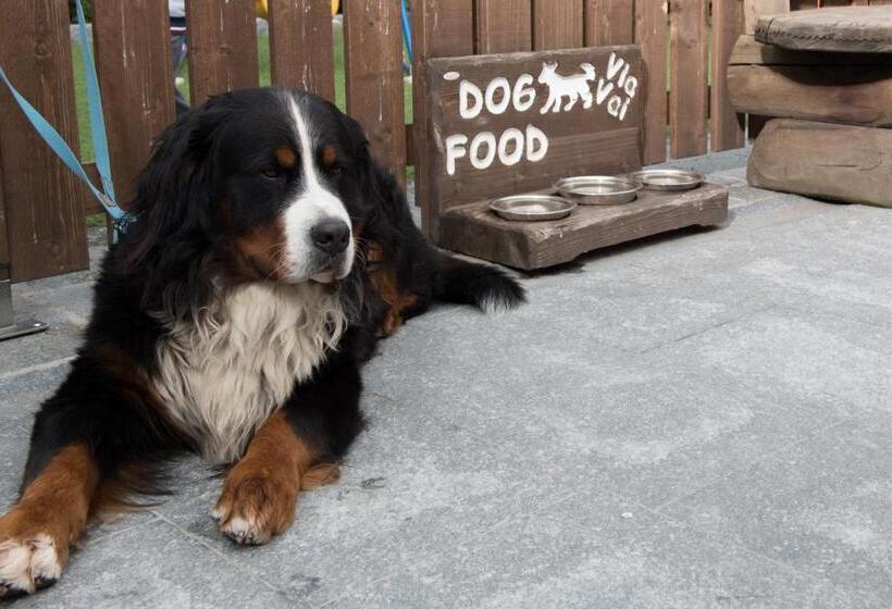 Апартаменты 2 Спальни, B&b Via Vai