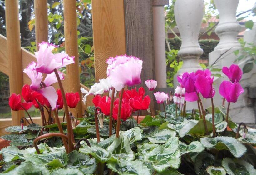 غرفة قياسية, Beb Villa Aurora