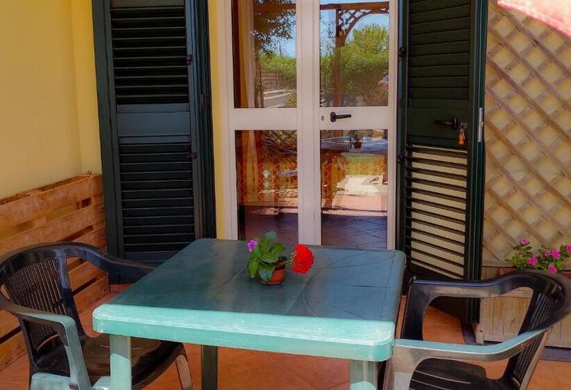 חדר סטנדרט, Bonjour