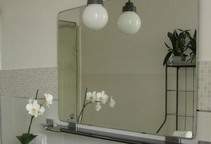 جناح جونيور, Gianduja B&b