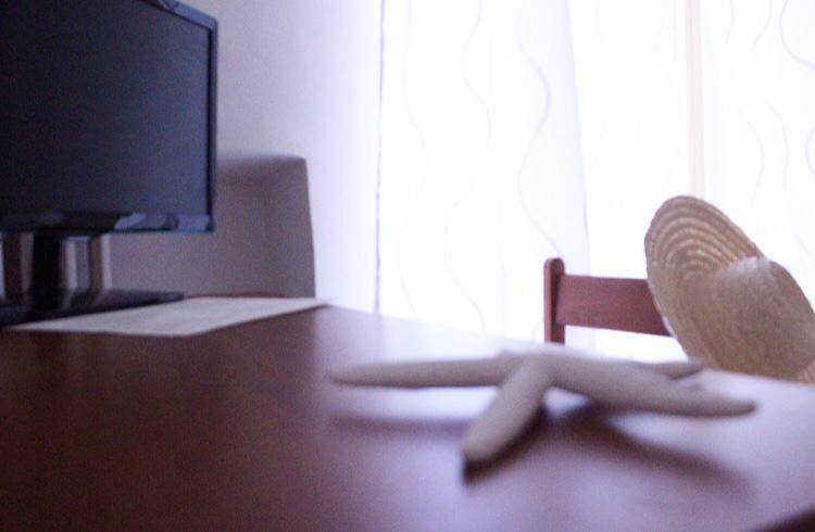 连接 1 卧室公寓, Panoramico