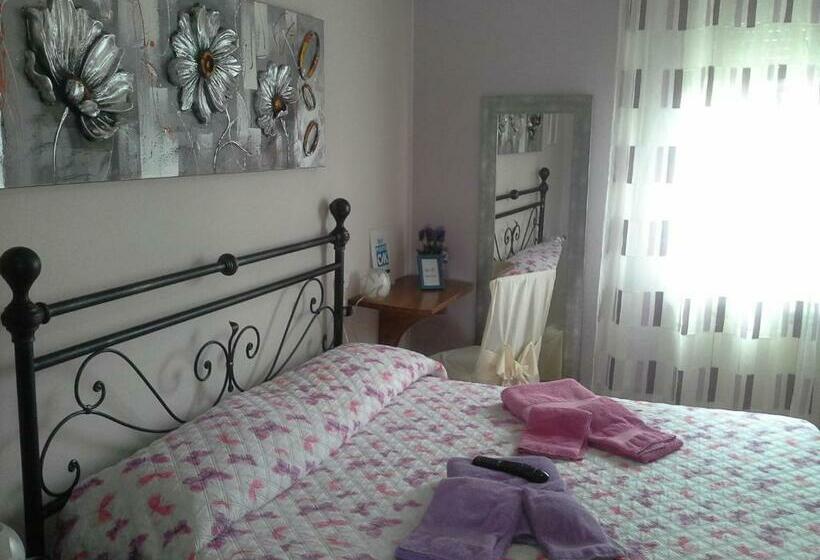 스탠다드 룸, B&b Ciccilia