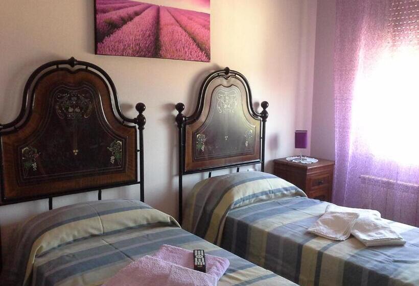 스탠다드 싱글 룸, B&b Ciccilia