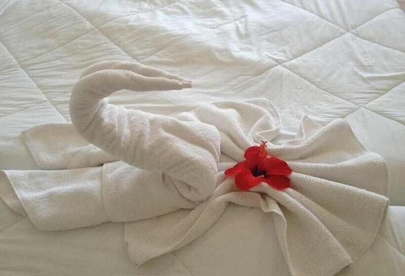 חדר לארבעה סטנדרטי עם מרפסת, Aurora