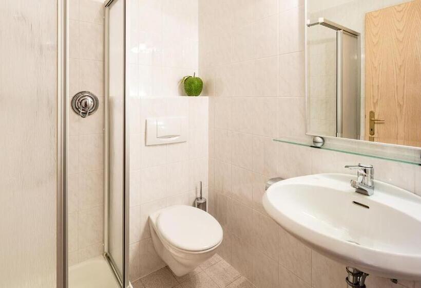 스탠다드 발코니 룸, Tyrol