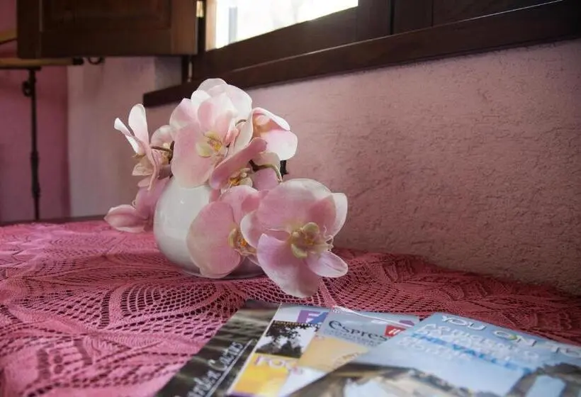 Deluxe-huone, Relais Garden Cactus B&b