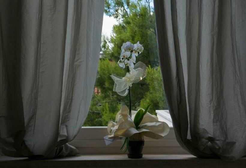 Номер Стандарт, A Casa Di Lolu