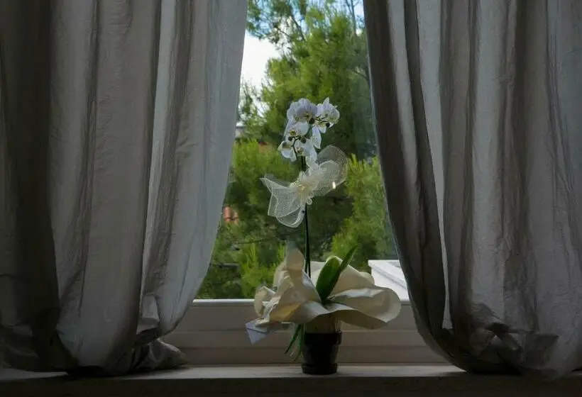اتاق استاندارد, A Casa Di Lolu