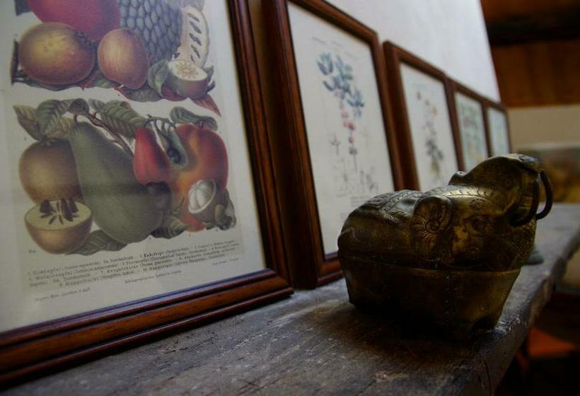 חדר סטנדרט, Podere Pinzicalari