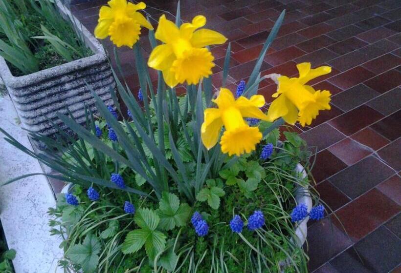 חיבור הדירה עם חדר שינה אחד, Le Magnolie B&b