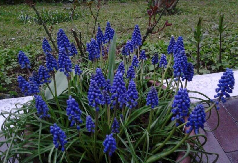 חיבור הדירה עם חדר שינה אחד, Le Magnolie B&b