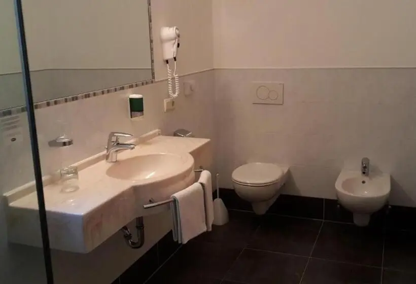 Superior-huone, Aktiv Hotel Schönwald