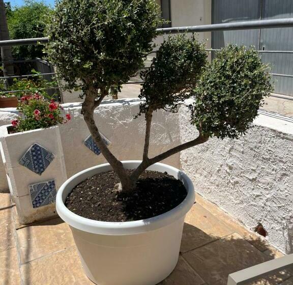 标准间, La Pergola B&b