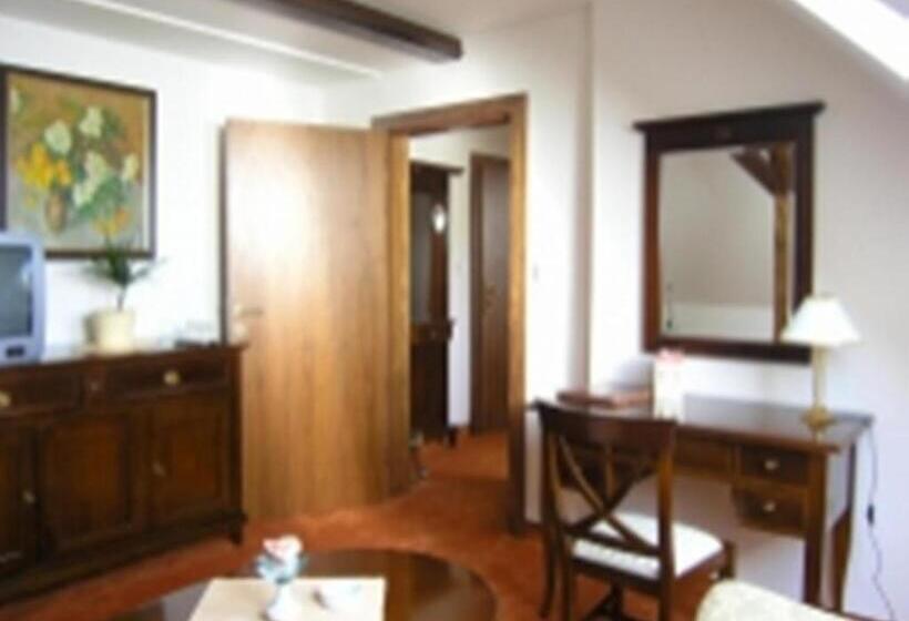 Номер Стандарт с доступом в Спа, Grand Hotel Strand