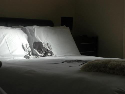 이코노미 룸, Luib