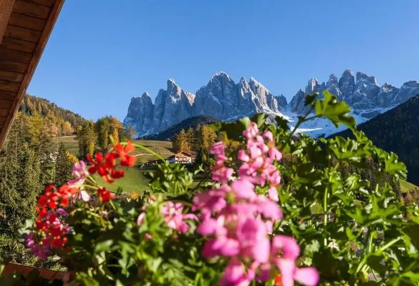 سوئیت جونیور با چشمانداز کوهستان, Tyrol