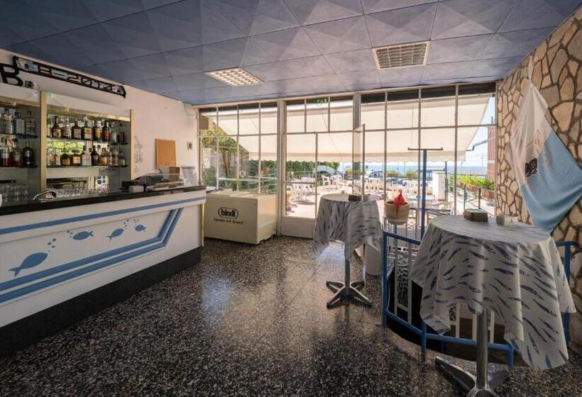 高级单人间, Zoagli