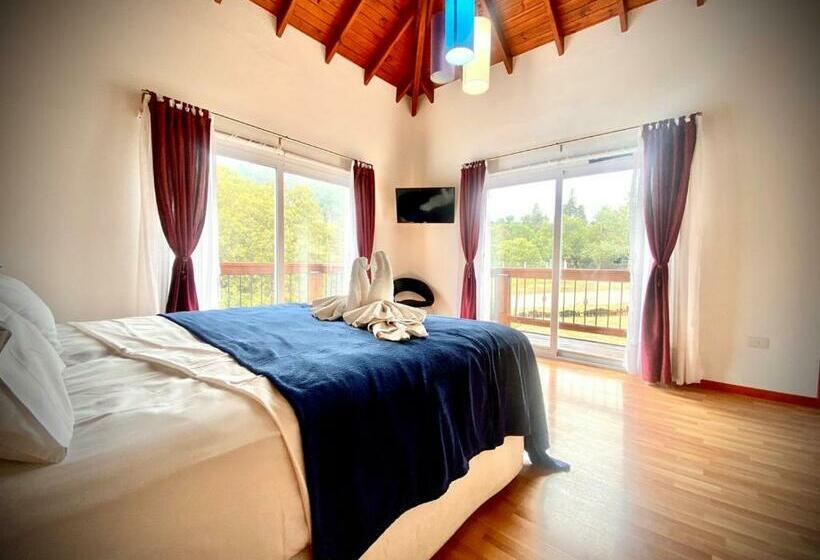 غرفة ديلوكس, Colores