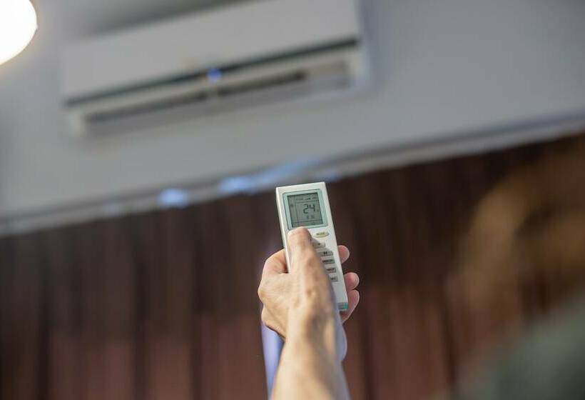 Номер Стандарт, Emperatriz