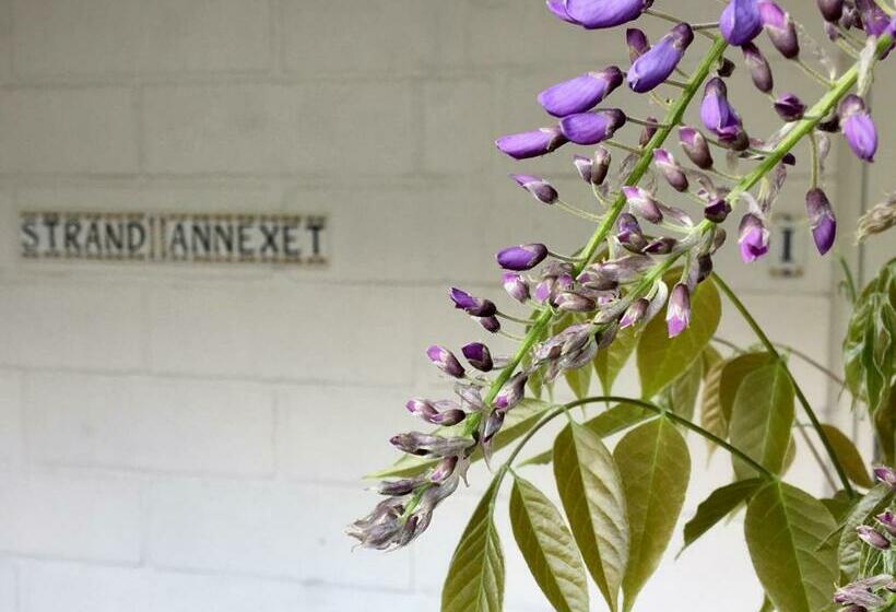 Camera Standard Vista Mare, Sandkaas Bade