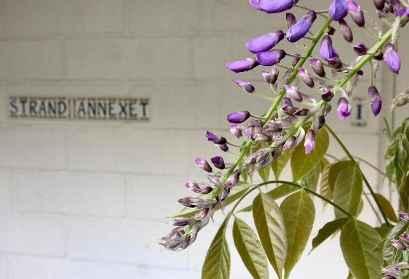 Camera Quadrupla Standard Vista Mare, Sandkaas Bade