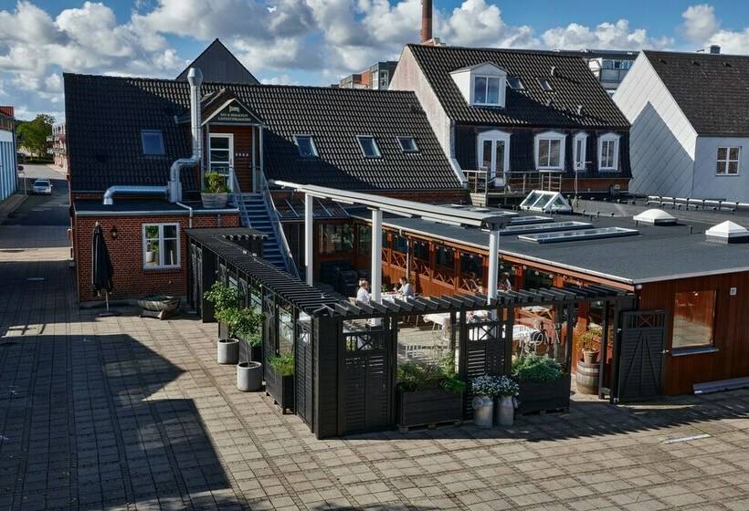 غرفة قياسية, Phønix