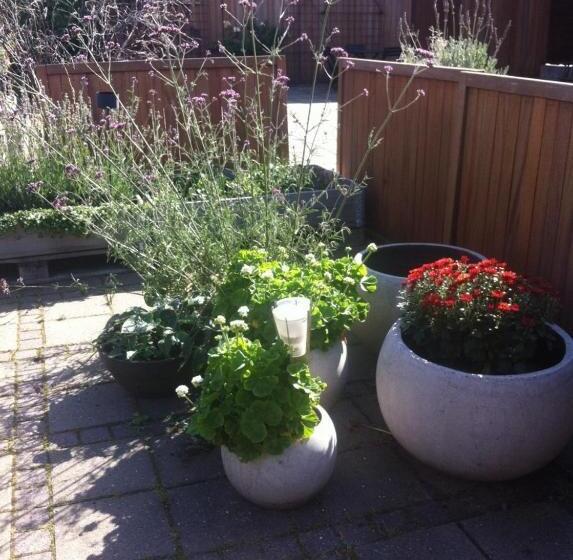 غرفة قياسية, Phønix