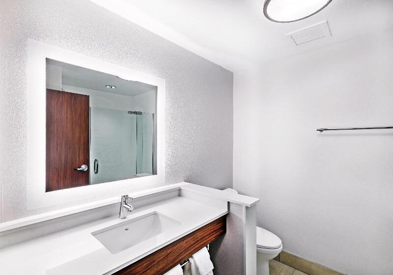 장애인을 위한 스위트, Holiday Inn Express And Suites Chanute, An Ihg