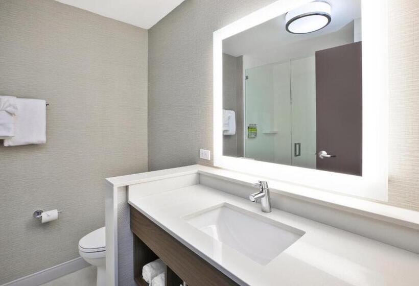 스탠다드 룸, Holiday Inn Express & Suites Okemos   University Area, An Ihg
