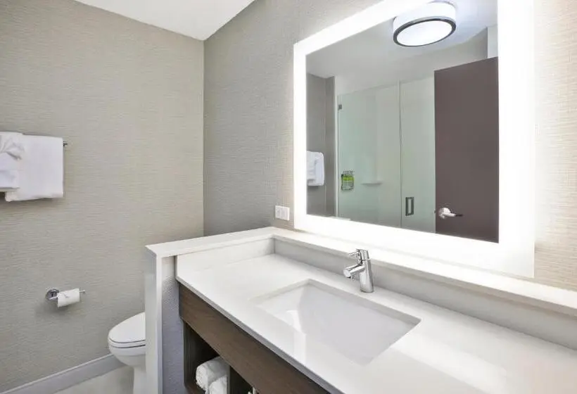 スーペリアースイート, Holiday Inn Express & Suites Okemos   University Area, An Ihg