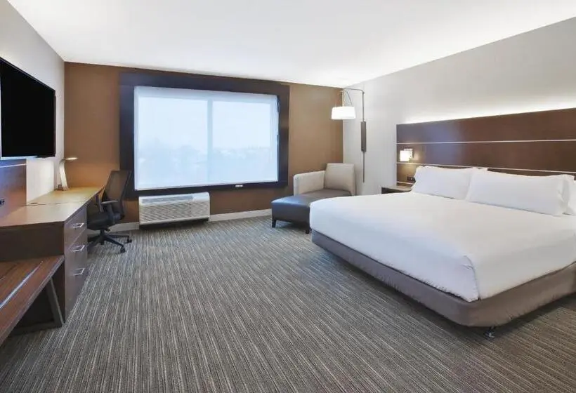 身障者適用キングサイズベッドルーム, Holiday Inn Express & Suites Okemos   University Area, An Ihg