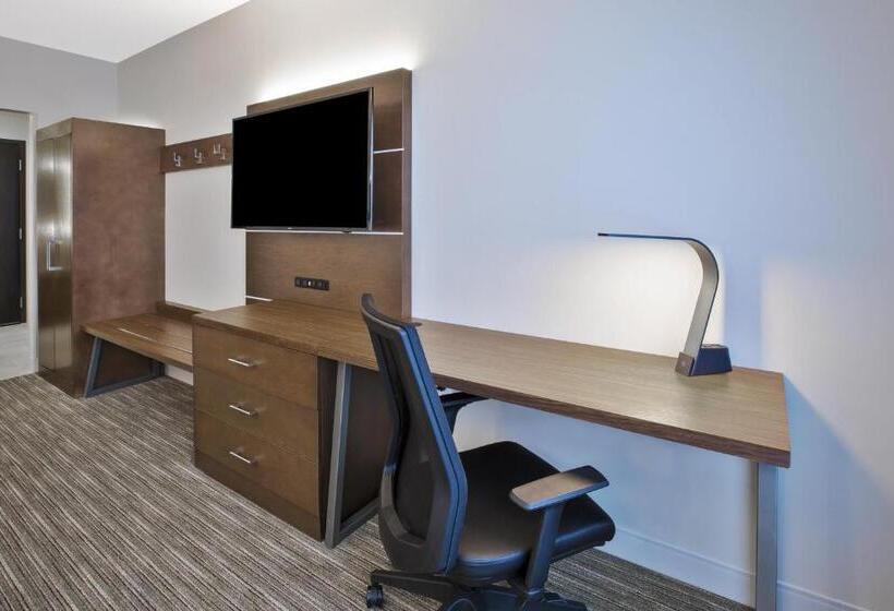 장애인을 위한 킹사이즈 침대 스탠다드 룸, Holiday Inn Express & Suites Okemos   University Area, An Ihg
