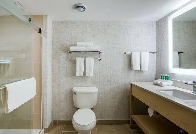 身障者適用スイートルーム, Holiday Inn Express & Suites S Lake Buena Vista, An Ihg