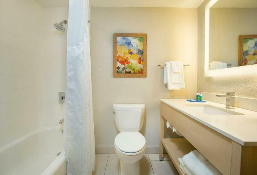 Номер Стандарт, Holiday Inn Express & Suites S Lake Buena Vista, An Ihg